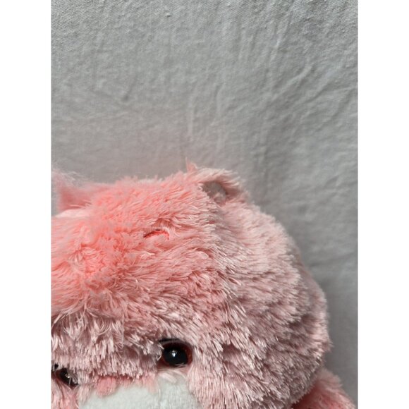 Care Bears Cheer Bear Plush 25th Anniversary  Swarovski Crystal 2007 - Picture 11 of 14